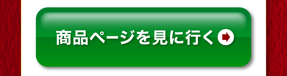 送料無料19,800円(税込)