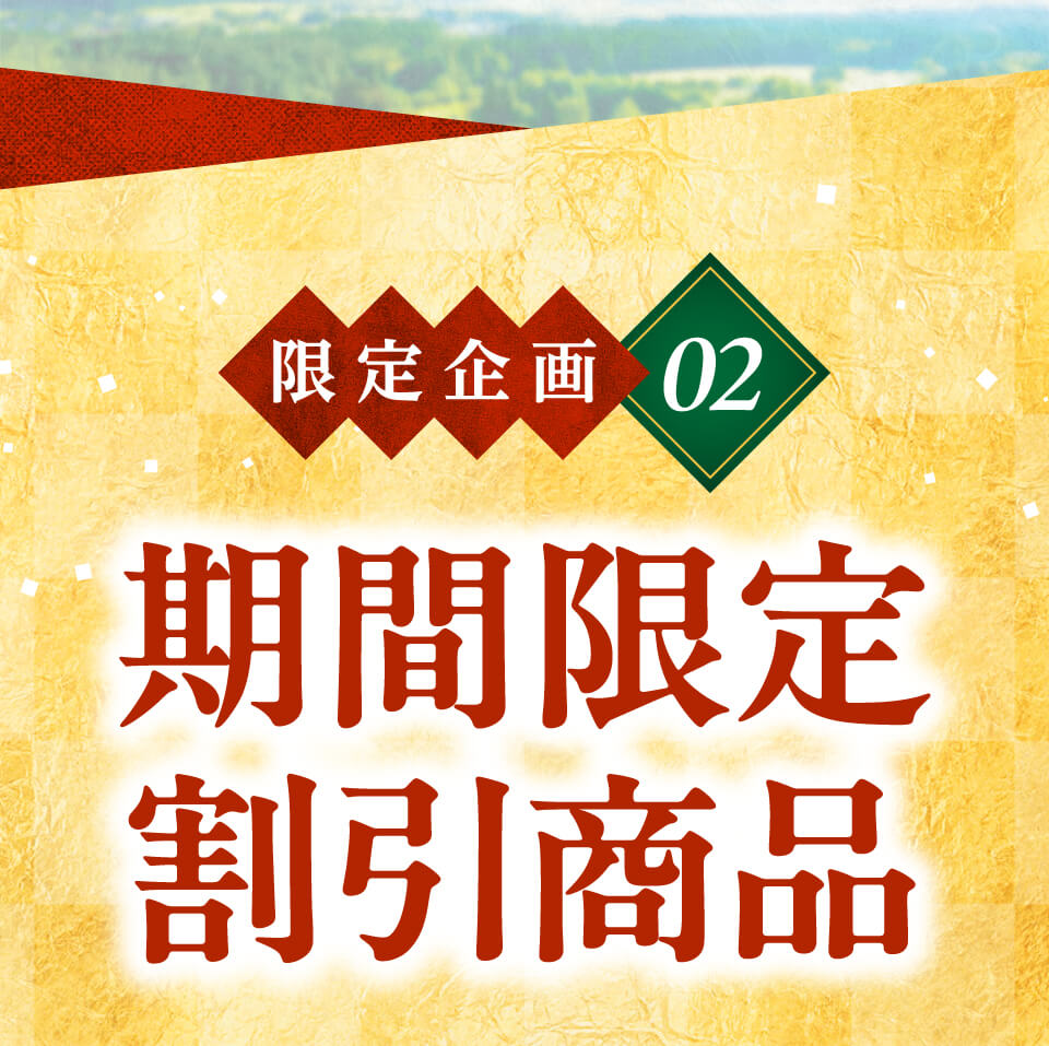 期間限定価格開催！